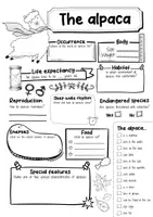 Vorschau - Arbeitsblätter - The Alpaca Profile Fact Sheet (English) - Seite 2