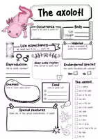Vorschau - Arbeitsblätter - Axolotl - 3 for 2 economy package - Material package (English) - Seite 2