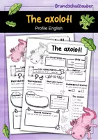 Vorschau - Arbeitsblätter - Axolotl - 3 for 2 economy package - Material package (English) - Seite 1