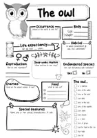 Vorschau - Arbeitsblätter - The Owl Profile Fact Sheet (English) - Seite 2