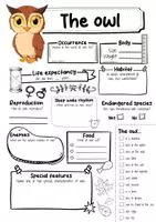 Vorschau - Arbeitsblätter - The Owl Profile Fact Sheet (English) - Seite 1