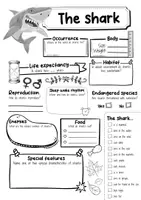 Vorschau - Arbeitsblätter - The Shark Profile Fact Sheet (English) - Seite 2