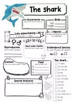 Vorschau - Arbeitsblätter - The Shark Profile Fact Sheet (English) - Seite 1
