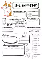 Vorschau - Arbeitsblätter - The Hamster Profile Fact Sheet (English) - Seite 1