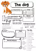 Vorschau - Arbeitsblätter - The Dog Profile Fact Sheet (English) - Seite 1