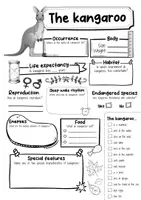 Vorschau - Arbeitsblätter - The Kangaroo Profile Fact Sheet (English) - Seite 2