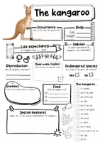 Vorschau - Arbeitsblätter - The Kangaroo Profile Fact Sheet (English) - Seite 1