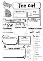 Vorschau - Arbeitsblätter - The Cat Profile Fact Sheet (English) - Seite 2