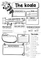 Vorschau - Arbeitsblätter - The Koala Profile Fact Sheet (English) - Seite 2