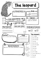 Vorschau - Arbeitsblätter - The Leopard Profile Fact Sheet (English) - Seite 2