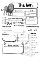 Vorschau - Arbeitsblätter - The Lion Profile Fact Sheet (English) - Seite 2