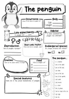 Vorschau - Arbeitsblätter - The Penguin Profile Fact Sheet (English) - Seite 2
