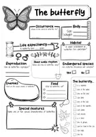 Vorschau - Arbeitsblätter - The Butterfly Profile Fact Sheet (English) - Seite 2
