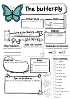 Vorschau - Arbeitsblätter - The Butterfly Profile Fact Sheet (English) - Seite 1