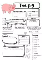Vorschau - Arbeitsblätter - The Pig Profile Fact Sheet (English) - Seite 1