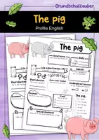 Vorschau - Arbeitsblätter - The Pig Profile Fact Sheet (English) - Deckblatt