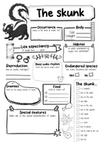 Vorschau - Arbeitsblätter - The skunk Profile fact sheet (English) - Seite 2