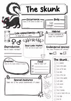 Vorschau - Arbeitsblätter - The skunk Profile fact sheet (English) - Seite 1