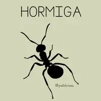 Vista previa - Tarjetas / Manipulativos - Tarjetas de Insectos. Disponible en Catalán y Castellano. - página 1