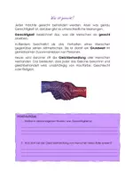 Vorschau - Stundenentwürfe - Toleranz und Gerechtigkeit - Komplette Unterrichtsreihe - Seite 2