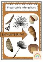 Vorschau - Unterrichtsreihen - Flugfrüchte - Gesamtpaket - Seite 1