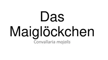 Vorschau - Anderer Materialtyp - 5-Minuten-Biologie: Mai_Maiglöckchen - Seite 1