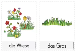 Vorschau - Bildkarten - Wiese - Wortkarten - Seite 2