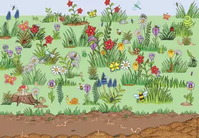 Vorschau - Bildkarten - Wiese - Wimmelbild - Seite 2
