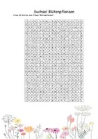 Vorschau - Spiele - Suchsel Blütenpflanzen inkl. Lösung - Deckblatt