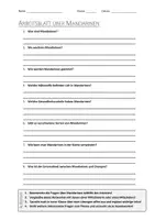 Vorschau - Arbeitsblätter - AB mit Fragen zum Thema "Mandarinen" + Lösungsblatt - Deckblatt