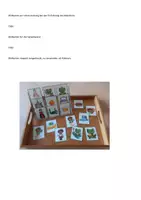 Vorschau - Anderer Materialtyp - Gestützte Erzählung - Froschkönig - Seite 3