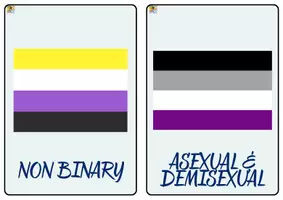 Vorschau - Fördermaterial/Inklusion - LGTBI+QA-Lernkarten auf Englisch! - Seite 3