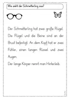Vorschau - Poster - Informationstexte zu dem Schmetterling - Seite 3