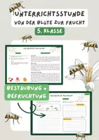 Vorschau - Stundenentwürfe - Von der Blüte zur Frucht - Bestäubung, Befruchtung 5. Klasse fertige Unterrichtsstunde Biologie - Deckblatt