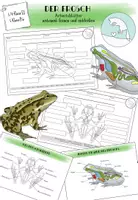 Vorschau - Arbeitsblätter - Frosch - Innere Organe und Skelett - Deckblatt