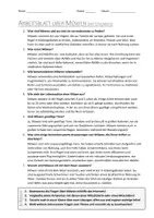 Vorschau - Arbeitsblätter - AB mit Fragen zum Thema "Möwen" + Lösungsblatt - Seite 1