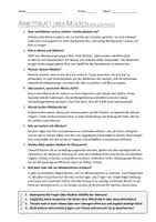 Vorschau - Arbeitsblätter - AB mit Fragen zum Thema "Mücken" + Lösungsblatt + Infografik - Seite 2