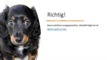 Vorschau - Spiele - k oder ck? interaktives Quiz - Seite 3