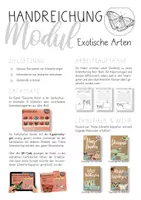 Vorschau - Arbeitsblätter - Schmetterlinge - Exotische Arten - Seite 1
