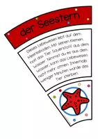 Vorschau - Spiele - Sommerlicher Legekreis - Seite 2
