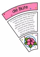 Vorschau - Spiele - Sommerlicher Legekreis - Seite 3