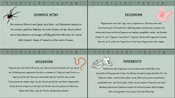 Vorschau - Spiele - Funfacts: Tierische Fakten zum Stundeneinstieg - Seite 2