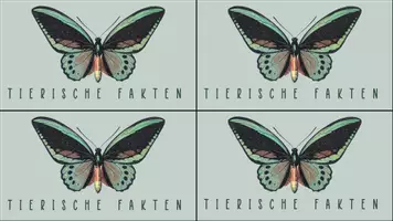 Vorschau - Spiele - Funfacts: Tierische Fakten zum Stundeneinstieg - Seite 3