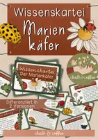 Vorschau - Bildkarten - Wissenskartei Marienkäfer - Lesetexte & Wissenshäppchen in 2 Versionen - Deckblatt