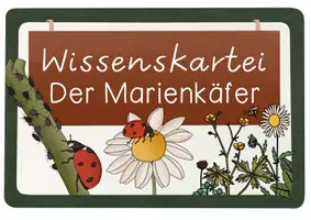 Vorschau - Bildkarten - Wissenskartei Marienkäfer - Lesetexte & Wissenshäppchen in 2 Versionen - Seite 1