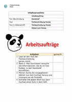 Vorschau - Unterrichtsreihen - Tierbeschreibung: PANDA inkl. Steckbrief & Silbenschrift - Seite 2