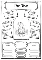Vorschau - Stundenentwürfe - Tiere des Waldes - Steckbriefe inkl. Lösung - Waldtiere - Natur und Umwelt #Silvesterknaller23/24 - Seite 3