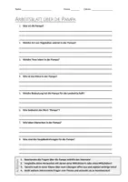 Vorschau - Arbeitsblätter - AB mit Fragen zum Thema "Pampa" + Lösungsblatt - Deckblatt