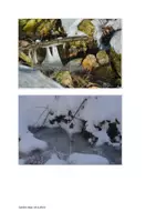 Vorschau - Spiele - Materialpaket Wald 1 - Seite 2