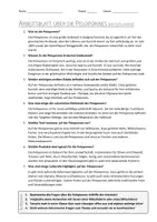 Vorschau - Arbeitsblätter - AB mit Fragen zum Thema "Peloponnes" + Lösungsblatt - Seite 1